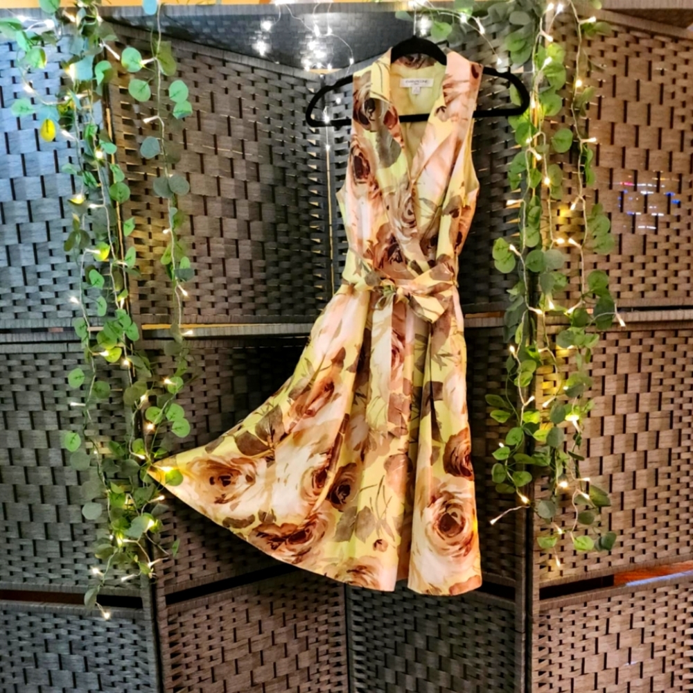 Evan Picone NWOT dress with full skirt size 4